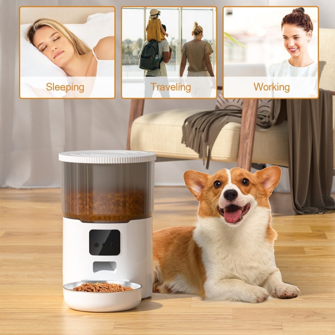Pet Automatic Feeder