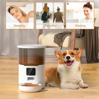 Pet Automatic Feeder
