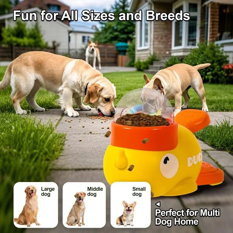 Interactive Pet Feeder