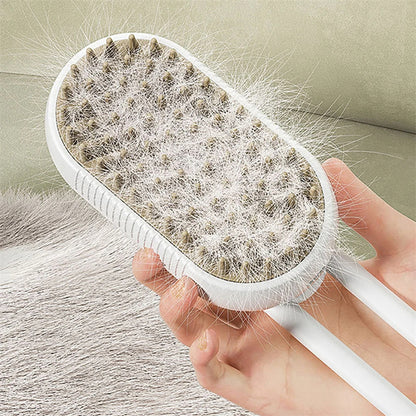 Electric Steam Pet Brush